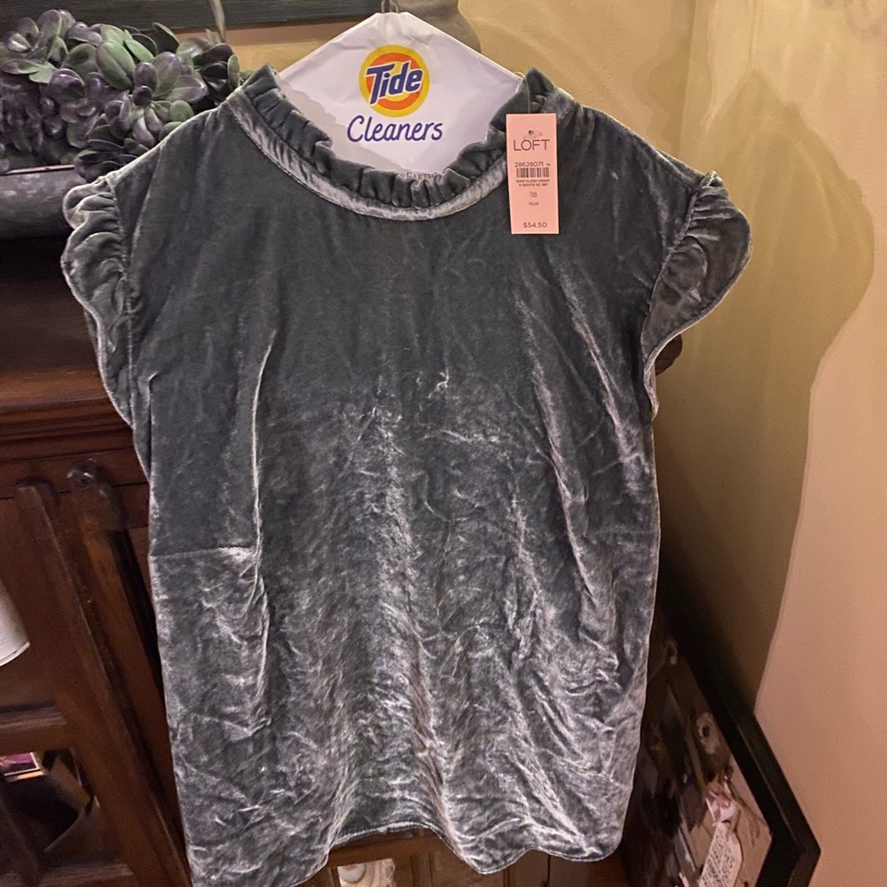 NWT Loft Crushed Velvet Blouse